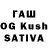 Галлюциногенные грибы Psilocybine cubensis foxi proxi