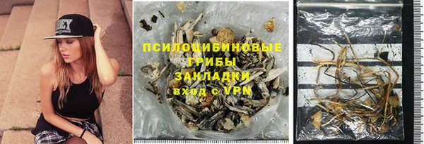 стафф Абинск