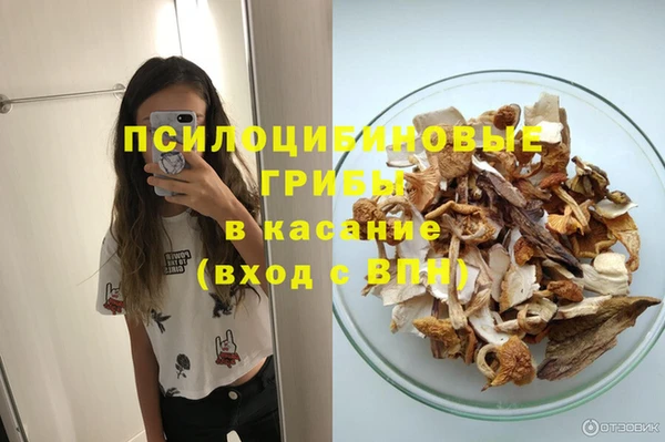круглые Абаза