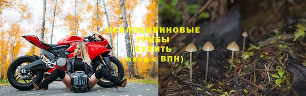 круглые Абаза