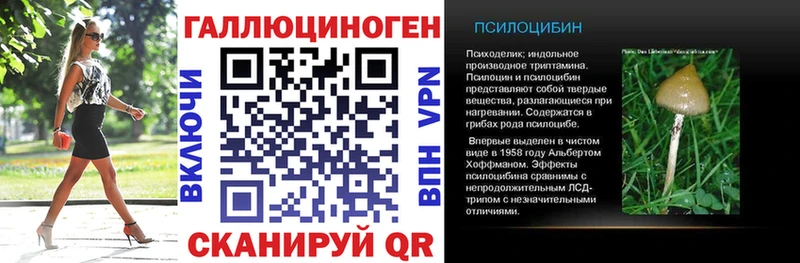 Псилоцибиновые грибы Cubensis  сколько стоит  Батайск 