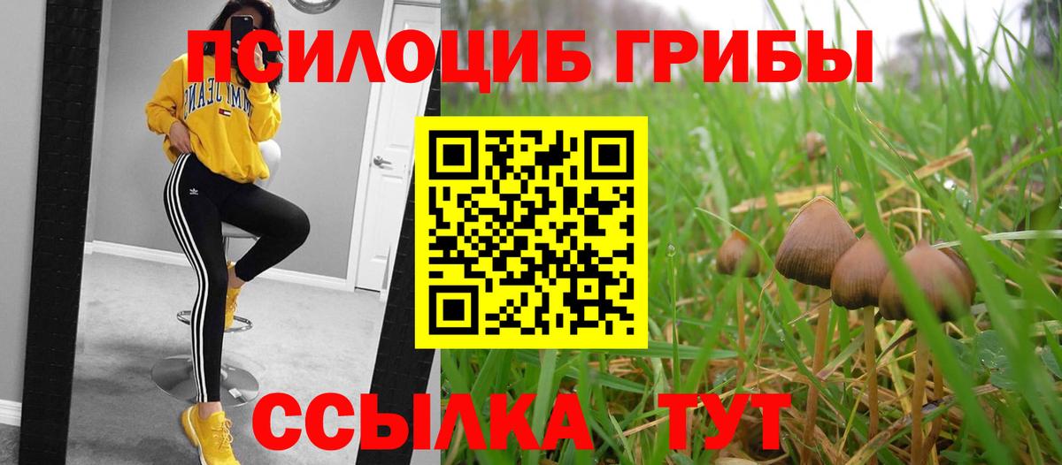 Галлюциногенные грибы Psilocybine cubensis Батайск